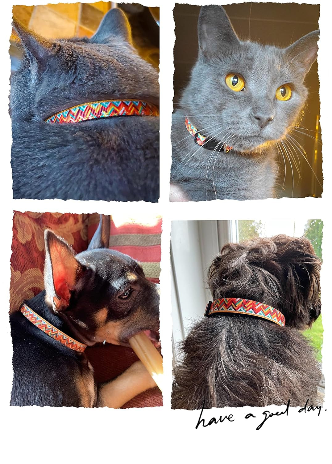 Pet Supplies, (Machu Picchu) Cat Collar, Dog Collar, Cat Leash, Dog Leash, Cat Harness, Dog Harness
